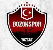 YOZGAT BOZOKSPOR         ...37 PUAN...  7.SIRA